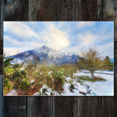 PVC-Forex 100x45cm - Peñas de Aia - Nevado con arbol