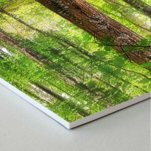 PVC-Forex 70X40cm - Bosque Místico de Txoritokieta v2021