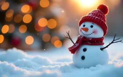 Muñeco de Nieve y animación